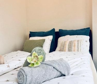 Olten Apartment | Serene Stay