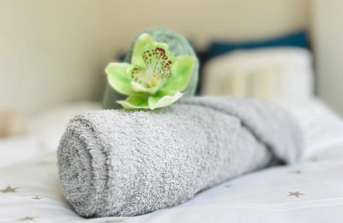 Olten Apartment | Serene Stay