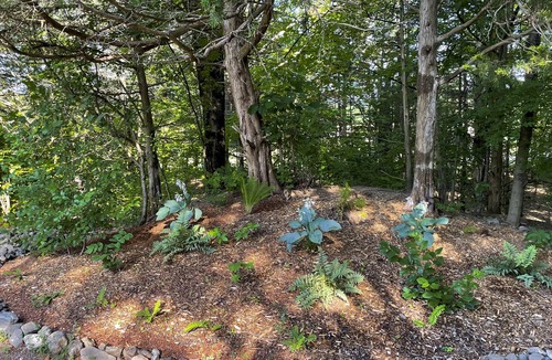 Hollowville Cottage | Serene, stylish cottage - close to Hudson - New Listing
