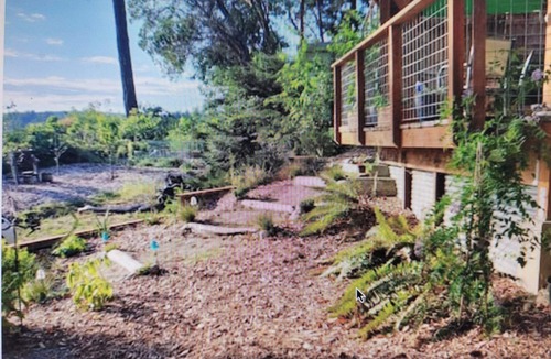 Adelma Beach Apartment | Serene Sunset Suite on Historic Discovery Bay