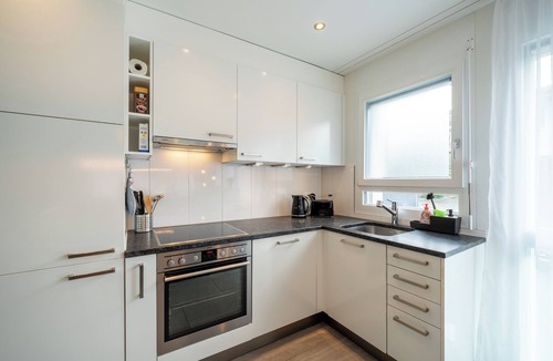 Safenwil House | Serene Swiss Apt | scenic balcony views + parking + hi-speed wifi