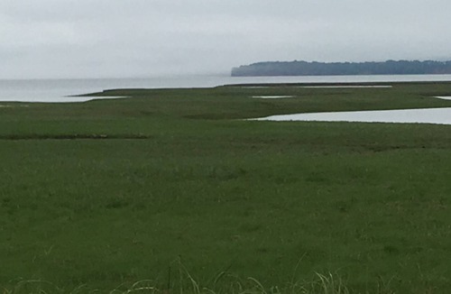 Kingsport House | Serene Waterview Bliss