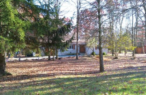 Jim Thorpe House | Serenity and Fun all in one in this Cozy Pocono Cabin