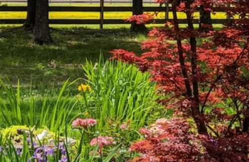 Humboldt House | Serenity Country Cottage Farm