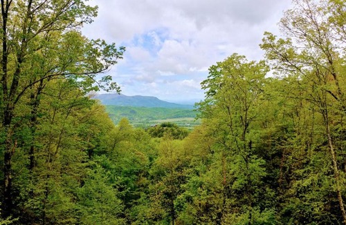 Smoky Mountains House | Serenity Creek Cabin