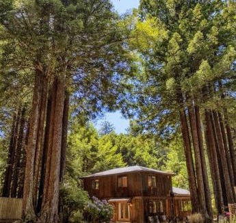 Fort Bragg House | Serenity Grove