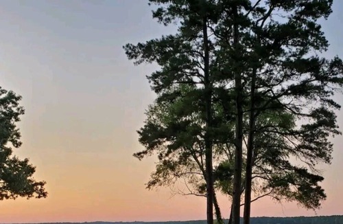 Dogwood Cabin | Serenity on the Lake. Full Private Acre. Sleeps 10