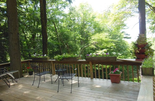 Wellsville Cabin | Serenity-Private, Secluded Cabin-Scenic Deck View of Sunset- Hiking-Pet friendly