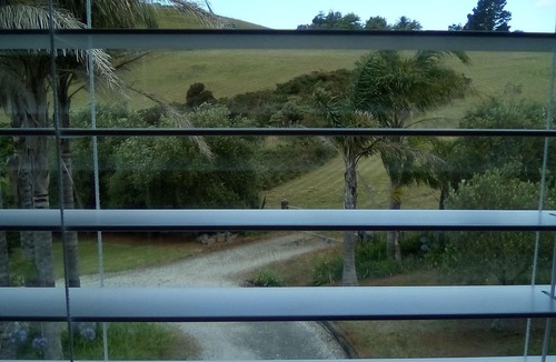 Mangonui Apartment | Serenity, views and an olive grove