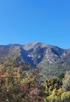 Belvedere Apartment | Serre 2