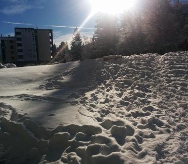 La Salle-les-Alpes Apartment | Serrecheholidays