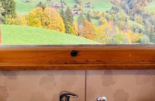 Ruedisbach Apartment | Serviced Apartment Chalet Bärgblüml i Ha by Interhome