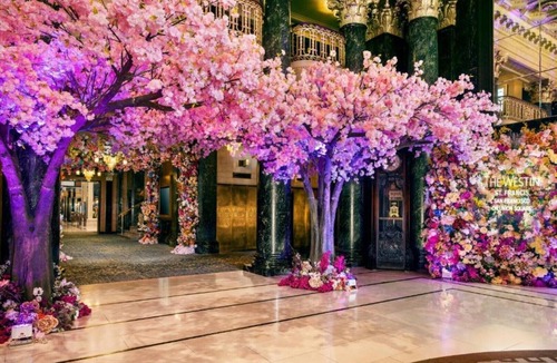 Chinatown House | Settle into the Suites at our Downtown San Francisco