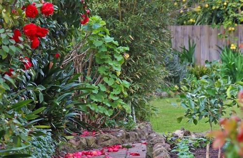 Clifton Springs House | Seven Views I Pool Table n Water Views