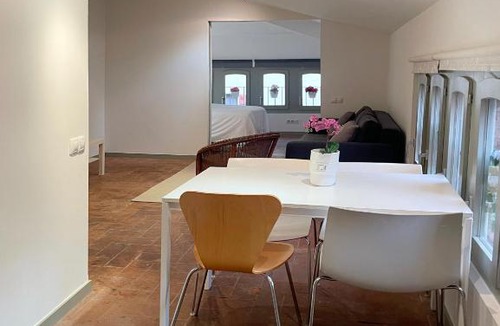 Terrassa Apartment | SG Apartamento céntrico ático