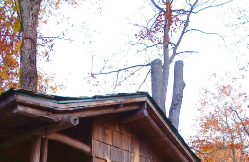 Saint-Sauveur Cabin | SHACK IN THE TREES - THE GROUND