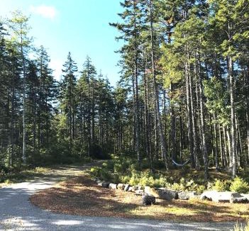 Tenants Harbor House | Shackmatack