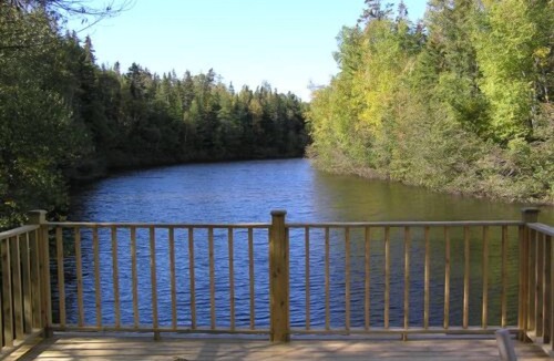 Murray Harbour Cottage | Shady Nook - 2 Bedroom Cottage Forest & Lake PEI Cottages