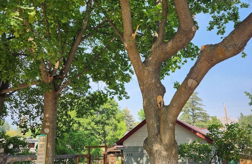 Hot Springs House | Shady Rest in Hot Springs MT.