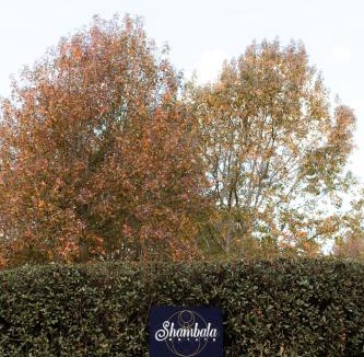 North Tamborine Cabin | Shambala Estate Cottages