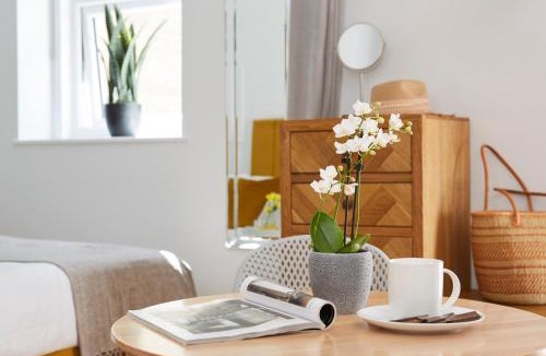 Shanklin Apartment | Shanklin Villa