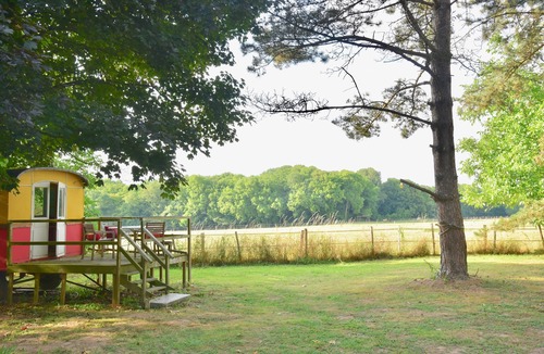 Crecy-en-Brie Apartment | Shanti-Gîte - Nice Gîte 140m² 8 places - Garden 4000 m² - 10mn Disney-35mn Paris