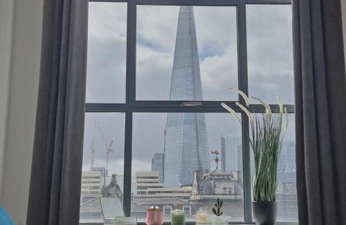 Billingsgate Apartment | Shard View Apartments