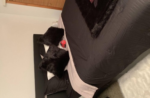 East Stroudsburg House | Shawnee Ski Resort is the golden 4 season experience!