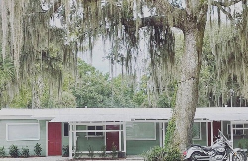 Satsuma Cabin | Shell Harbour Resort Cabin #3