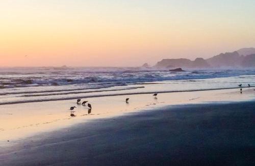 Fort Bragg House | Shell Seeker