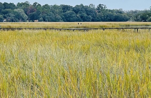 Townsend Cottage | SHELLMANS BLUFF SPORTSMAN’S PARADISE