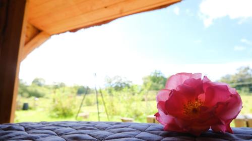 Praesto Other | Shelter i sansehave
