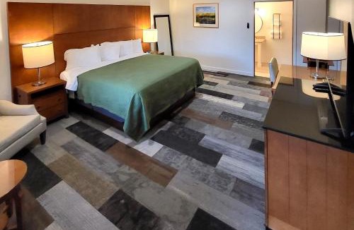 Shelton Hotel | Shelton Inn