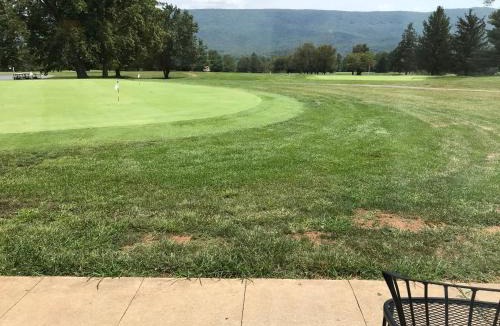 New Market Hotel | Shenvalee Golf Resort