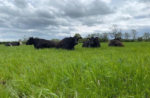 Uckington Apartment | Shepherd Hut