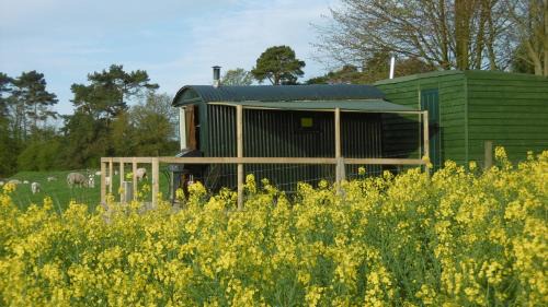 Milton Abbas Other | Shepherd's Hut