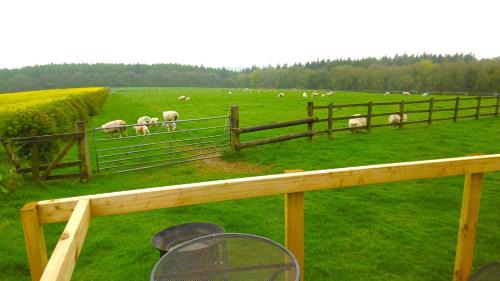 Milton Abbas Other | Shepherd's Hut