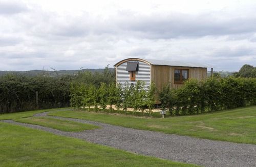 Awre Cabin | Shepherd's Hut Glamping