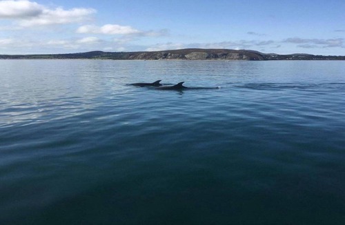 Rhyd-y-clafdy Ski Chalet | Shepherd's Hut on Llŷn Peninsula by Private Lake