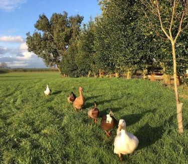 Forsbrook House | Shepherds Haven