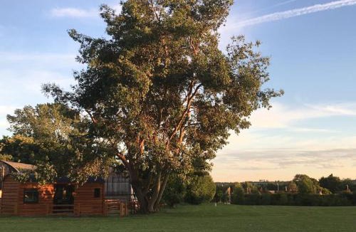 Forsbrook House | Shepherds Haven