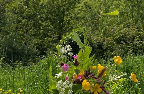 Bridport Cabin | Shepherds Hut in Beautiful Dorset Countryside