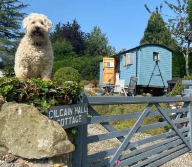 Cilcain House | Shepherds Hut in the Hills - Nr. Mold