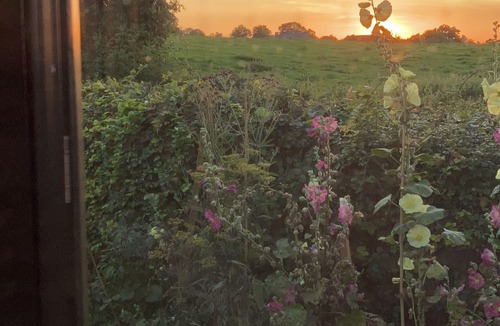 Cricket Malherbie Apartment | Shepherds Hut & Swedish Sauna - Countryside View