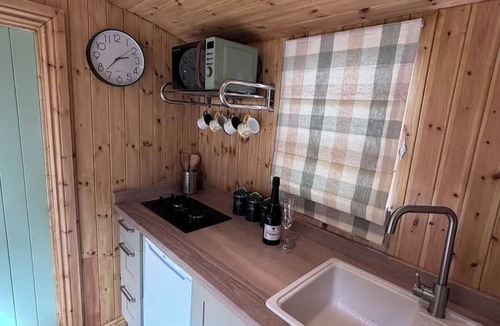 Milford Haven Apartment | Shepherds Hut with Hot Tub