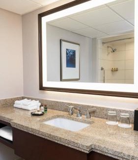 Pinch District Hotel | Sheraton Memphis Downtown Hotel