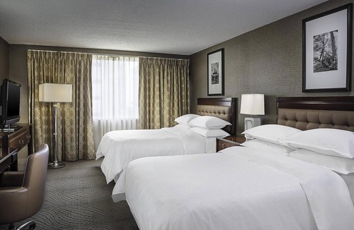 Business District Hotel | Sheraton Oklahoma City Downtown Hotel