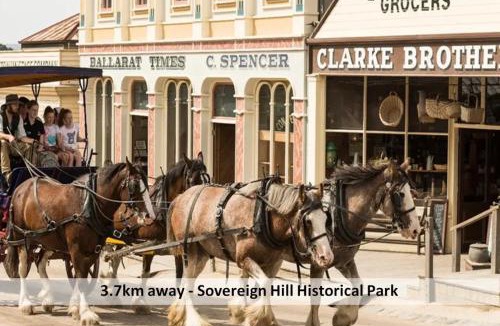 Black Hill Apartment | Sherrard Spacious Family Place