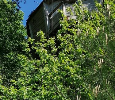 Etretat Bed & Breakfast | SHERWOOD TREE