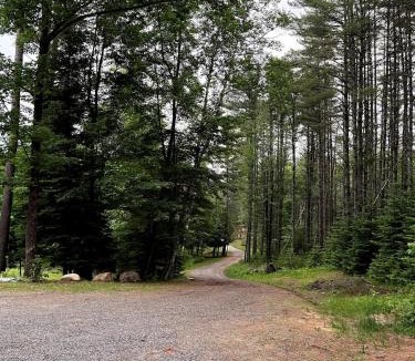 North Creek Apartment | Shiraz House